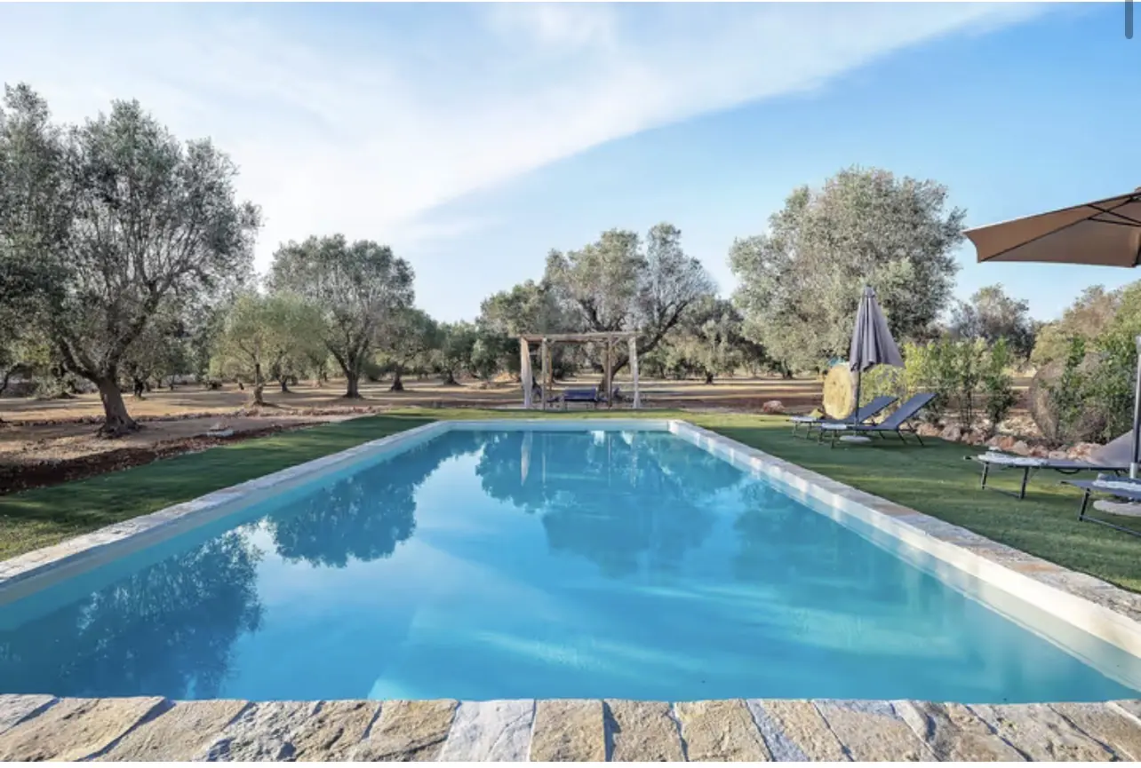 Pool & Olive Grove